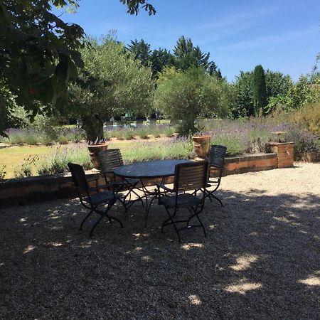 Typical Provencal Farm House Close To L'Isle Sur La Sorgue - 12 Persons Cavaillon Zewnętrze zdjęcie