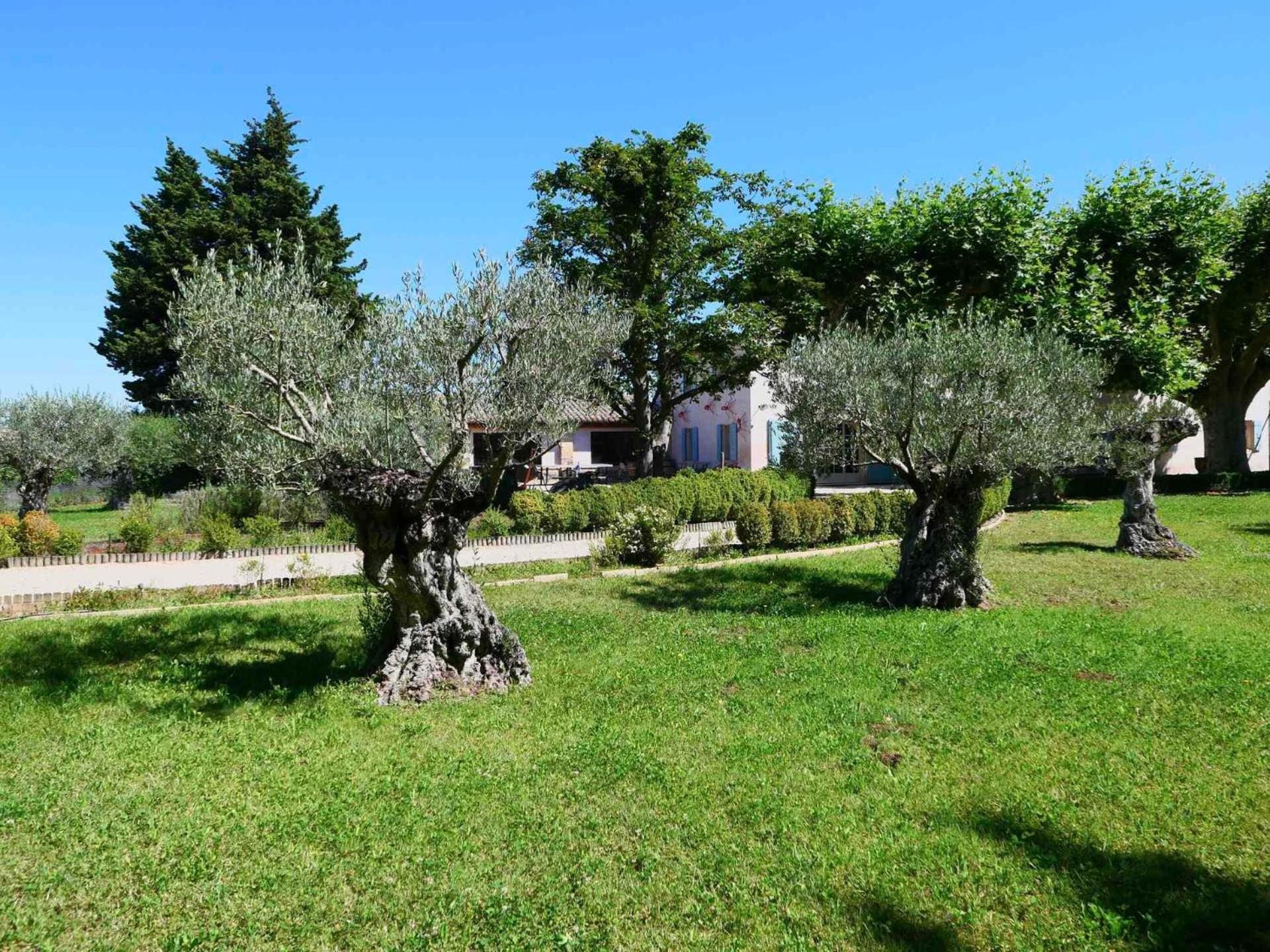 Typical Provencal Farm House Close To L'Isle Sur La Sorgue - 12 Persons Cavaillon Zewnętrze zdjęcie