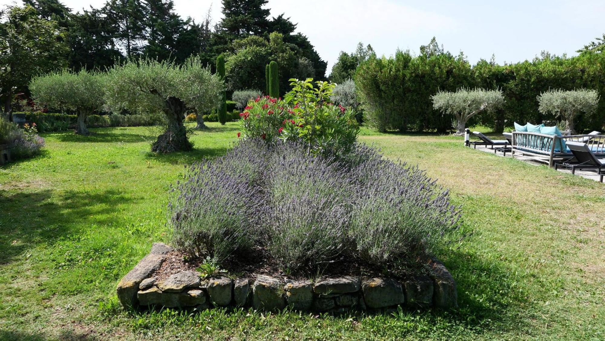 Typical Provencal Farm House Close To L'Isle Sur La Sorgue - 12 Persons Cavaillon Zewnętrze zdjęcie