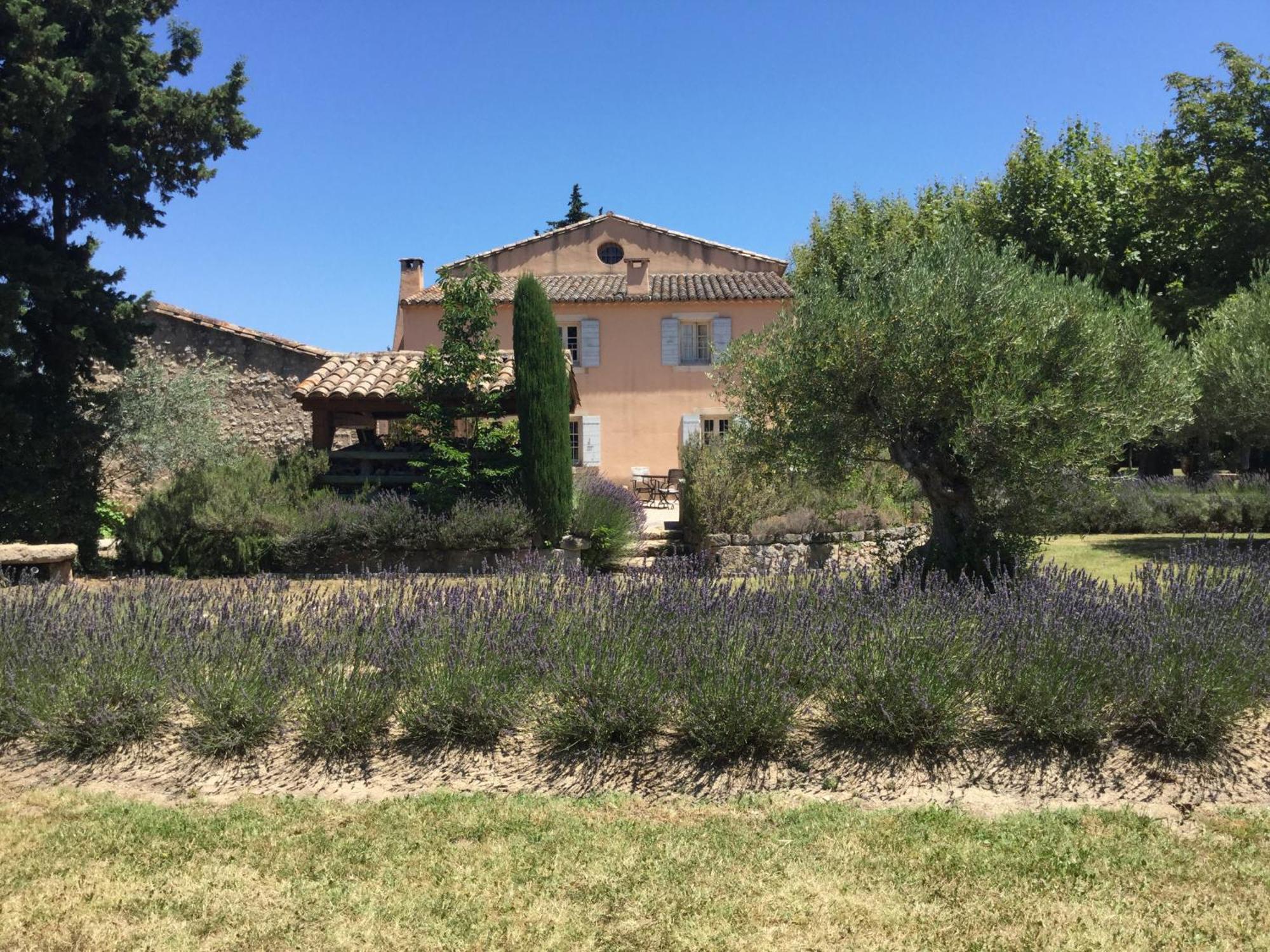 Typical Provencal Farm House Close To L'Isle Sur La Sorgue - 12 Persons Cavaillon Zewnętrze zdjęcie
