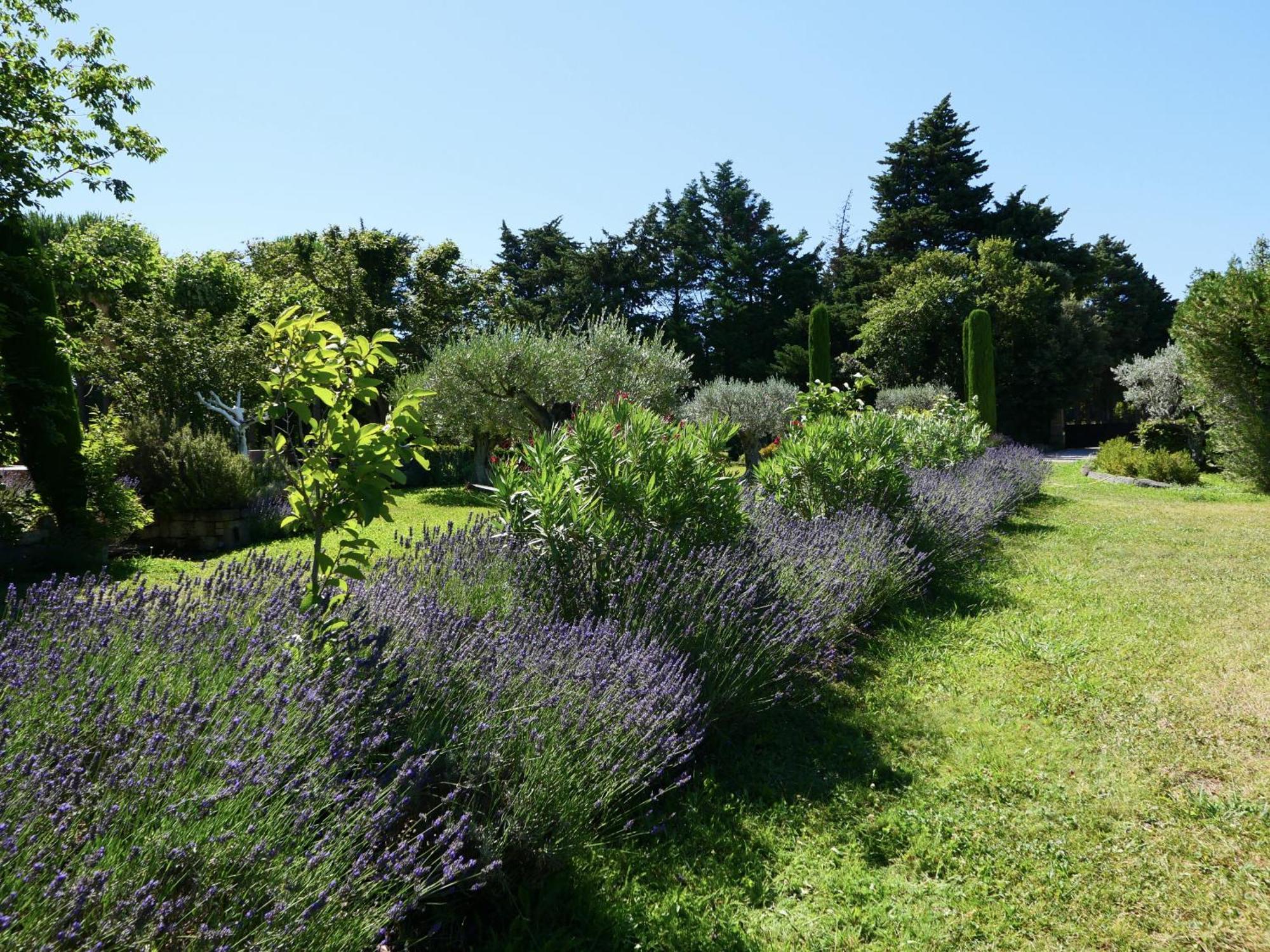 Typical Provencal Farm House Close To L'Isle Sur La Sorgue - 12 Persons Cavaillon Zewnętrze zdjęcie