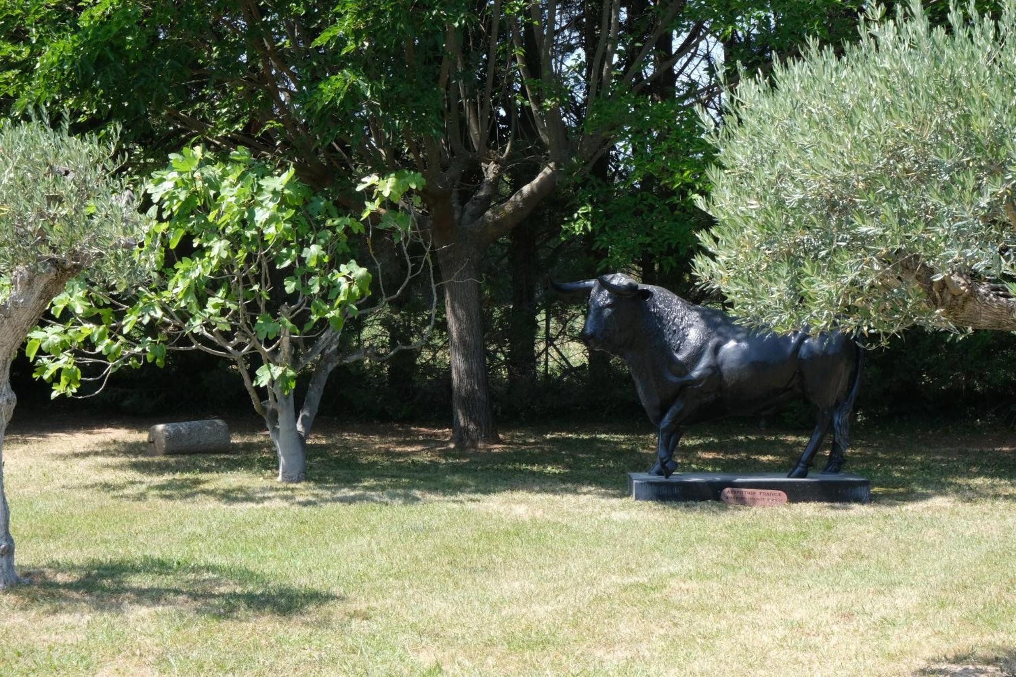 Typical Provencal Farm House Close To L'Isle Sur La Sorgue - 12 Persons Cavaillon Zewnętrze zdjęcie