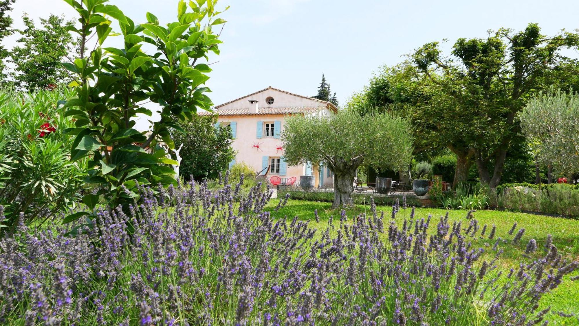 Typical Provencal Farm House Close To L'Isle Sur La Sorgue - 12 Persons Cavaillon Zewnętrze zdjęcie